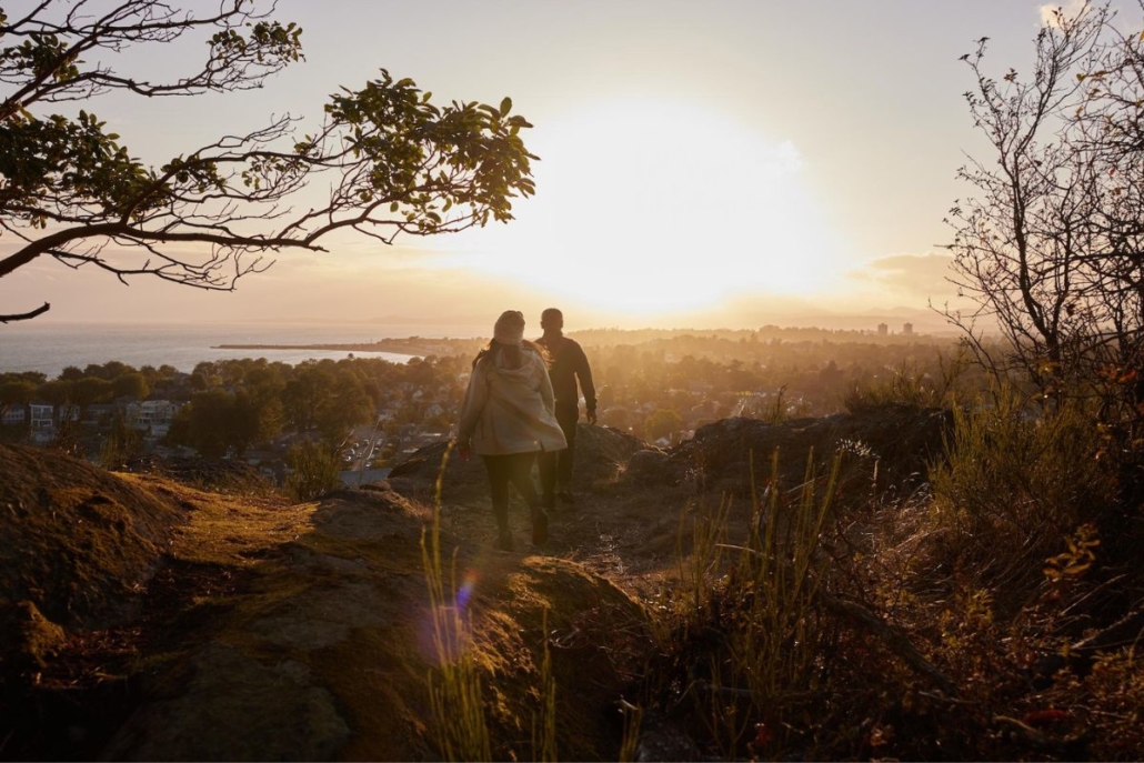 nz dating and friendship