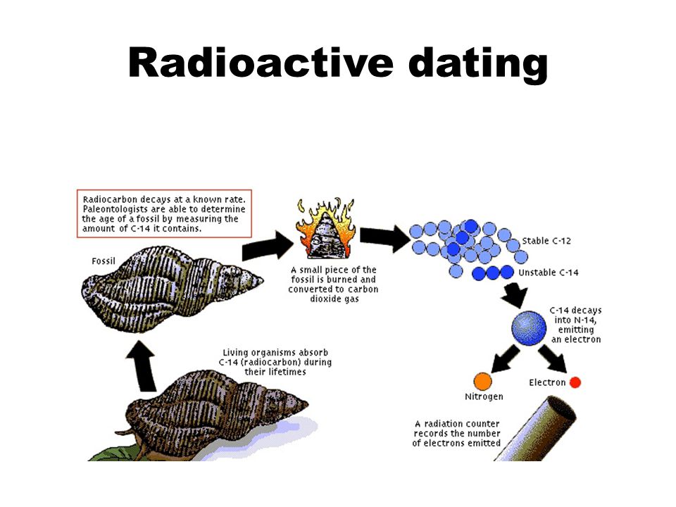 speed dating dinner parties