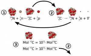 radiocarbon dating prices